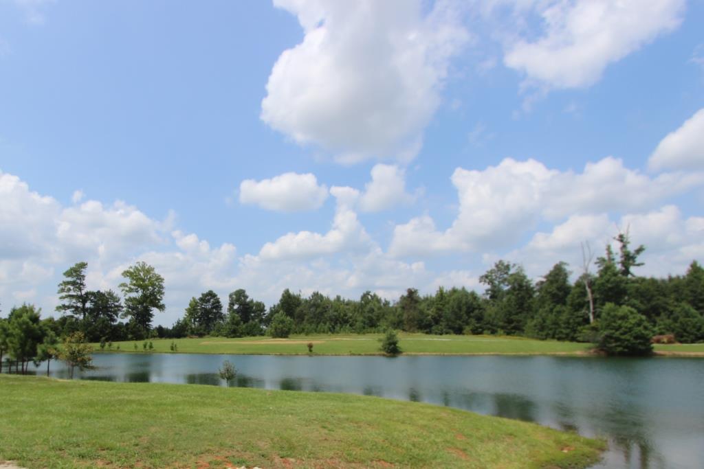 Subdivision photo