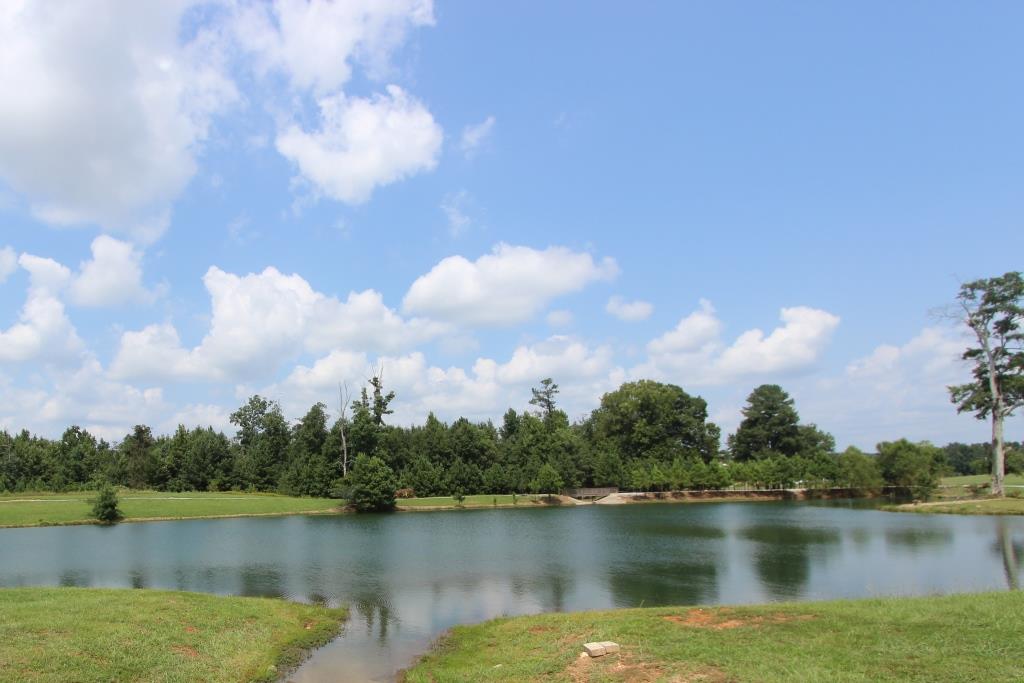 Subdivision photo