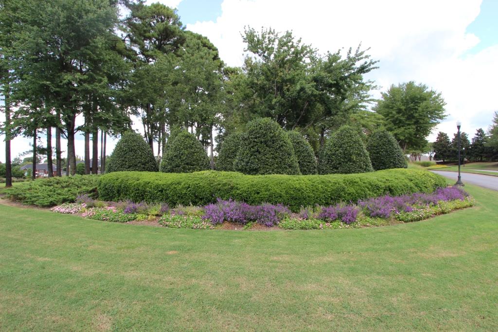 Subdivision photo