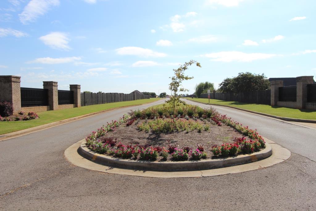 Subdivision photo